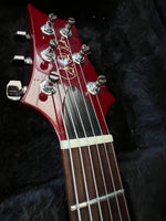 Load image into Gallery viewer, Eric's 2003 PRS Custom 22 w/upgrades - Used on BSL & TDATD!