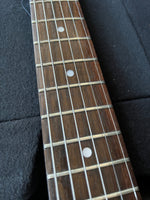 Load image into Gallery viewer, Eric's Regal Steel Resonator Guitar with Lace pickup & case